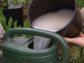 Kompostbeschleuniger einfach selber machen garten tipps