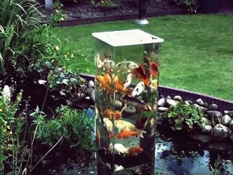 Kreative Ideen DIY Koi Aussichtsturm im Gartenteich garten tipps